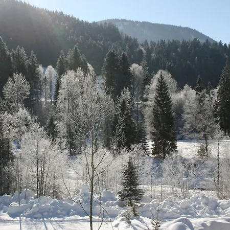 Alpenspatzl Apartamento *