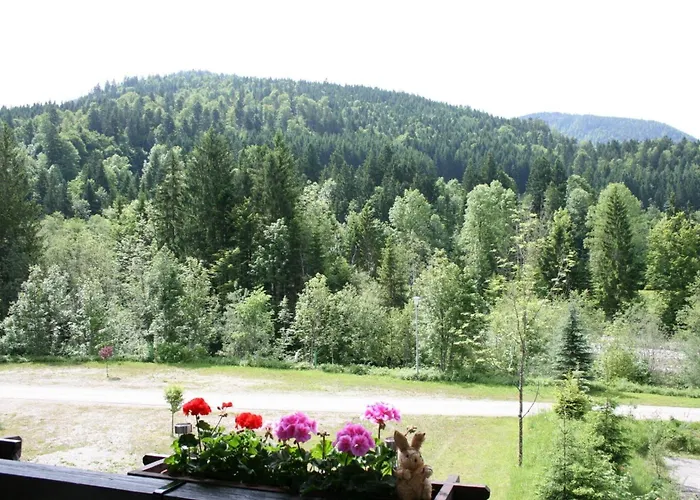 Alpenspatzl Apartamento