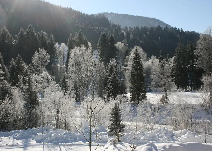 Alpenspatzl Apartamento *